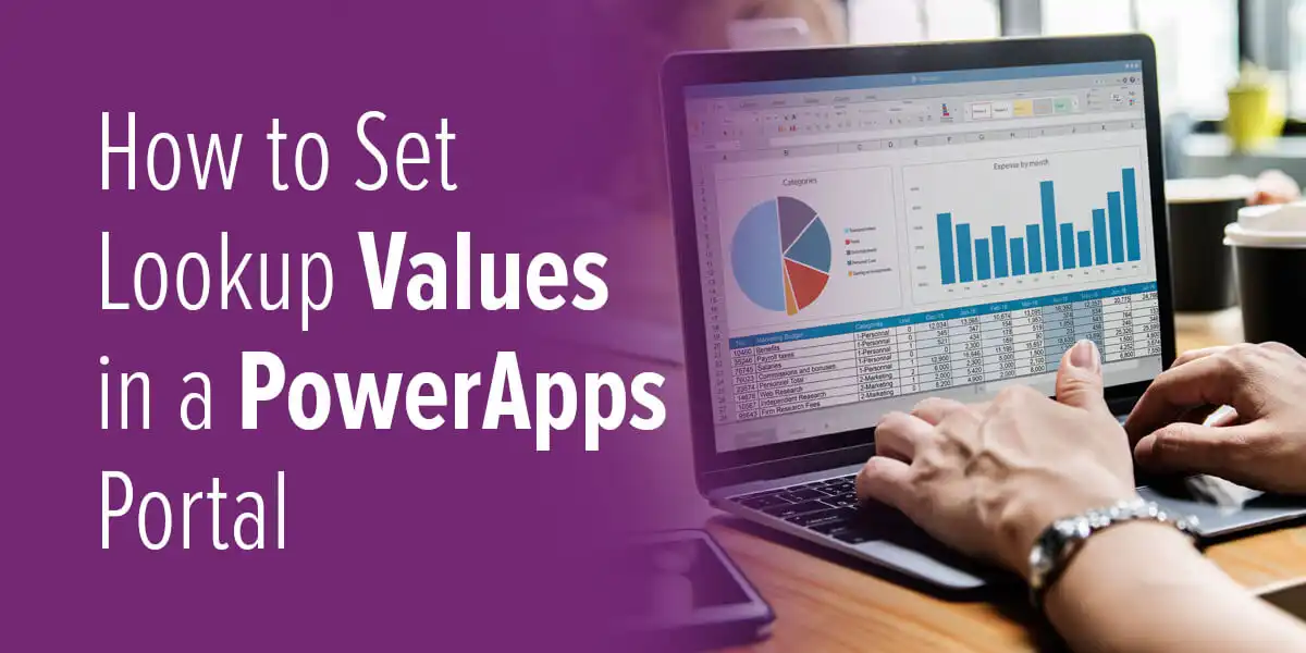 How to set up look-up values in the power apps portal